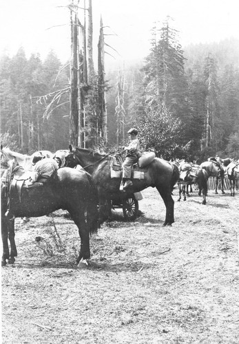 Klamath Glen (then "Terwer Flat"): Starting on a pack trip into the Klamath Mountains