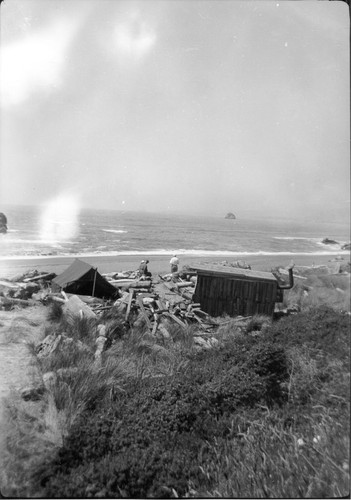 Howinquit: Amelia Brown's fish drying camp