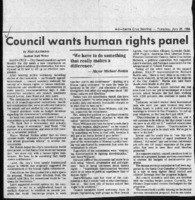 Council wants human rights panel