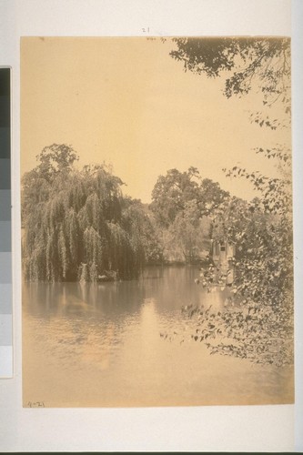 The Fish Pond, Glen Ellen, Sonoma County, California