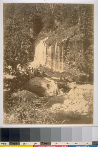 At Mossbrae Falls