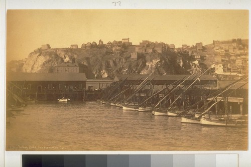 Fisherman's Wharf and Telegraph Hill