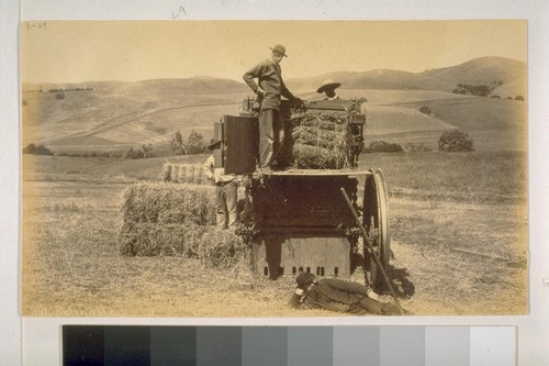 Baling Hay (location not given)