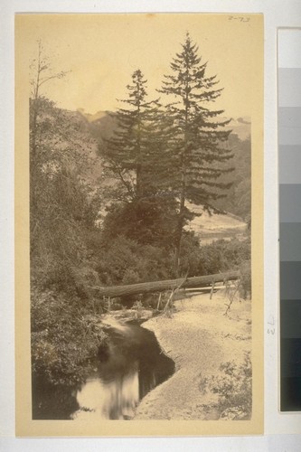 On Paper Mill Creek, Marin County - Reichling, photographer