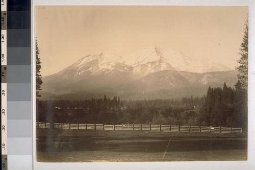 Mount Shasta