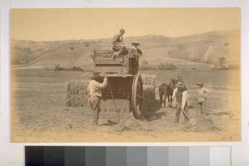 Baling Hay (location not given)