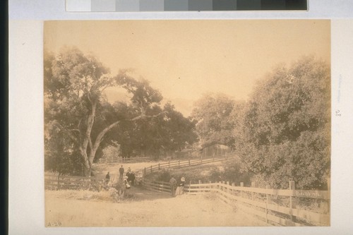 Down the Lane, Brookbank Farm, June 3, 1888