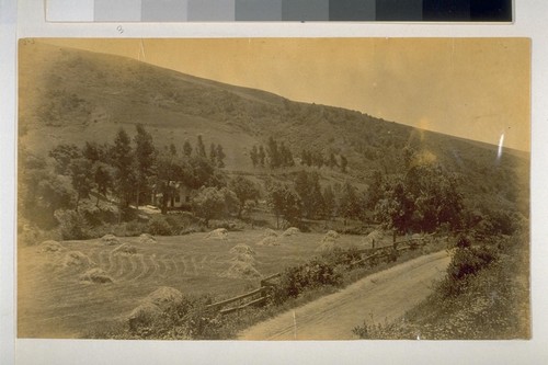 Farm Scene, Jack Hays Canyon