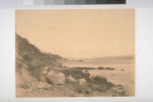 Beach at Saucilito