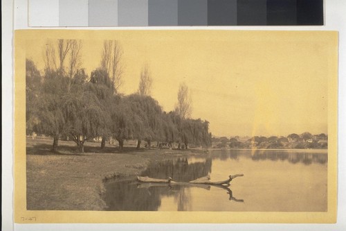 Lake Merritt, Oakland