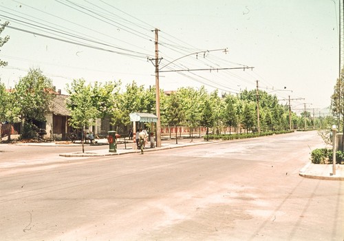 Bus Stop