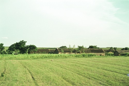 Communal Fields