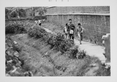 School Boys in the Countryside