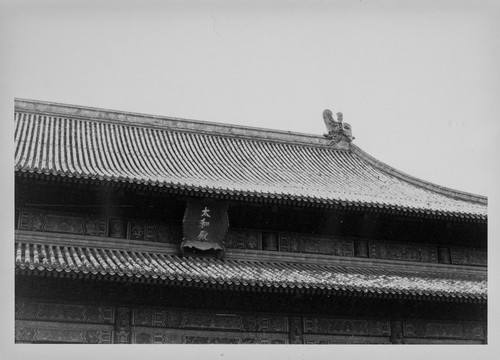 The Palace Museum