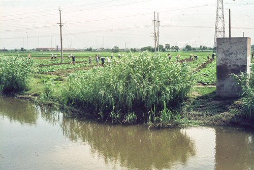 Hand Labor in a South China Commune