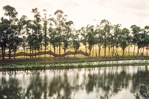 Rural Landscape