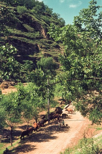 Rural Scene in Northern Shanxi Province