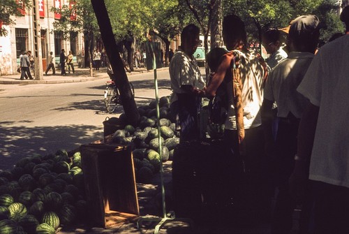 Fresh Watermelons for Sale