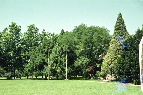 Park