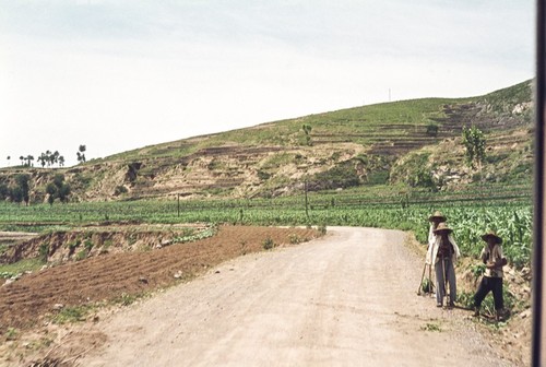 Unpaved Rural Road