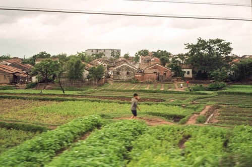 Communal Housing and Field