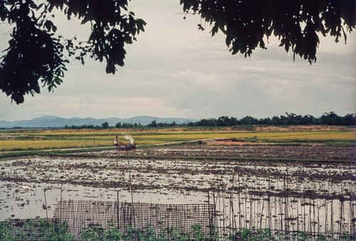 Mechanized Tilling of a Commune Plot
