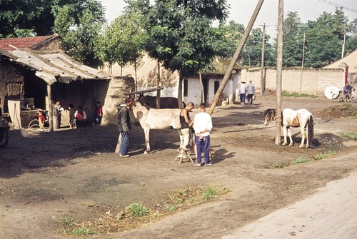 Back Street Scene