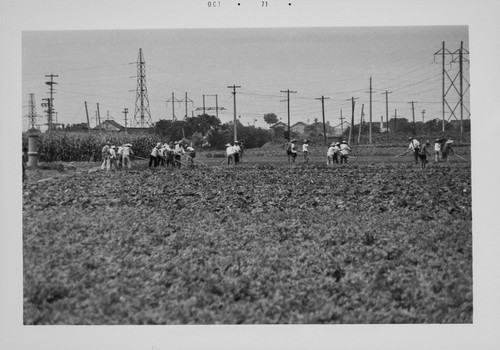 Working in the Field