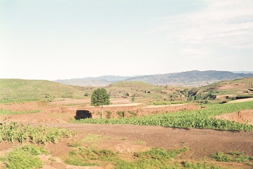 Terraced Farm Plots