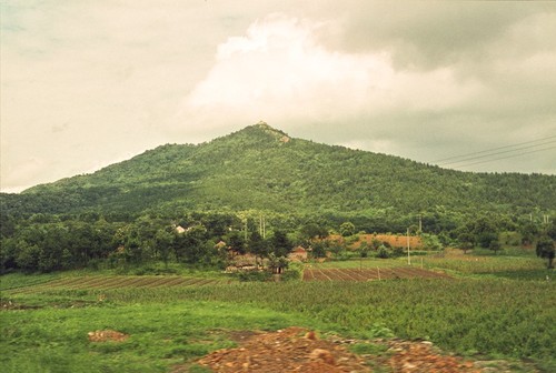 Rural Scene