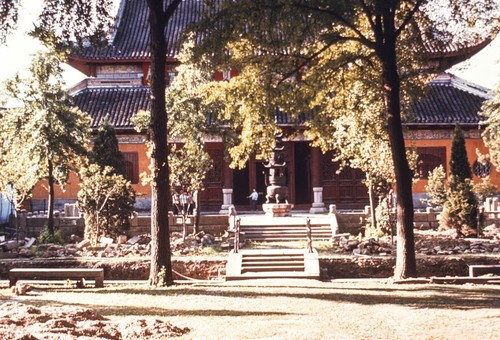 Buddhist Temple