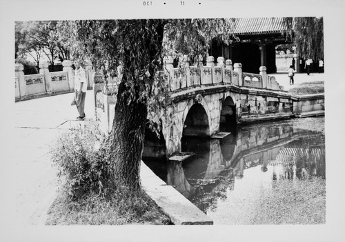 A Bridge in the City