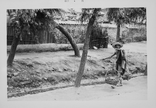 Farmer with a Pole