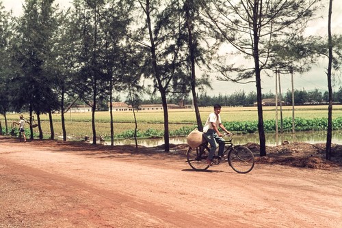 Transporting Rural Goods by Bicycle