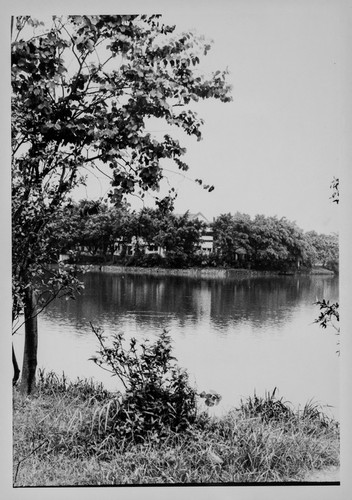 By the Lake