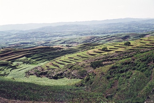 Terracing