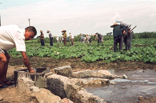 Irrigation Works