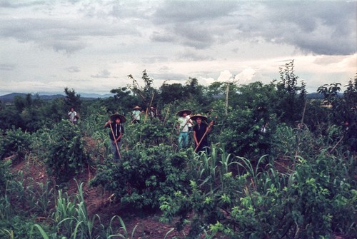 Hand Labor in a People's Commune