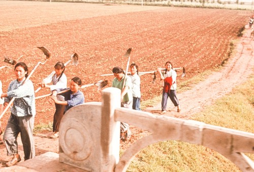 Young Women Field Workers
