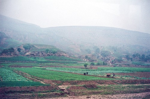 Commune Agriculture in North China