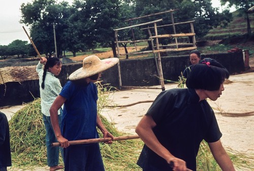 Barefoot Women Engaging in Hand Labor