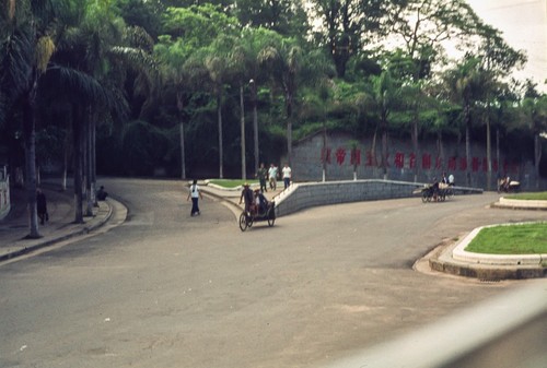 Urban Street Scene in South China