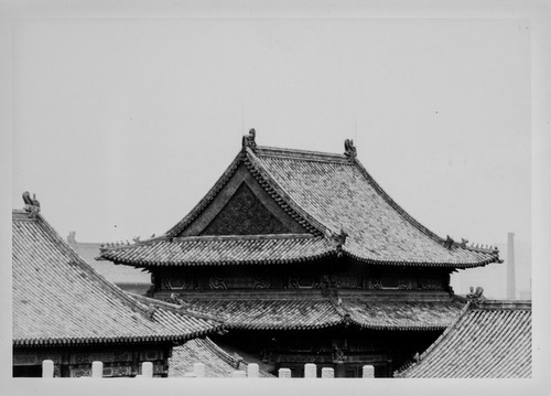 The Palace Museum