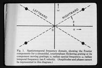 Kelly, D.H., Visual processing of moving stimuli, Journal of the Optical Society of America A Vol. 2, No. 2 1985 - Figures