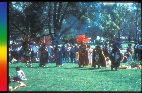 Fiesta de Colores