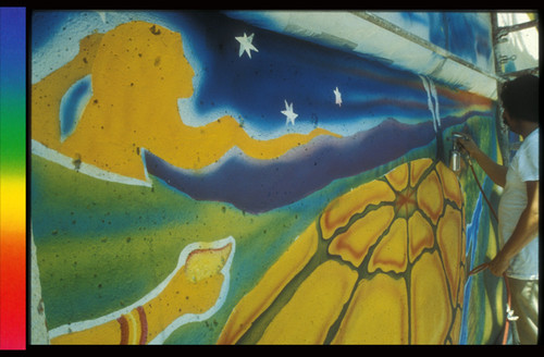 "Metamorphosis" Butterfly Mural