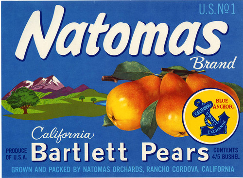 Natomas Brand Bartlett Pears