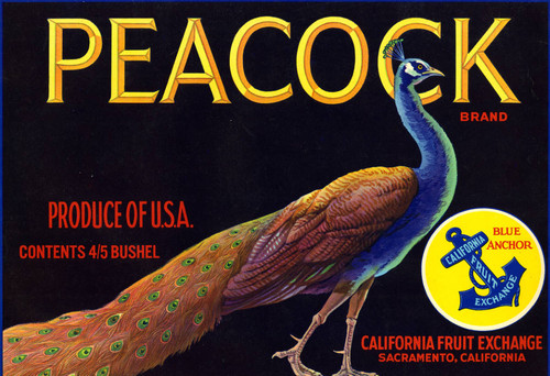 Peacock Brand