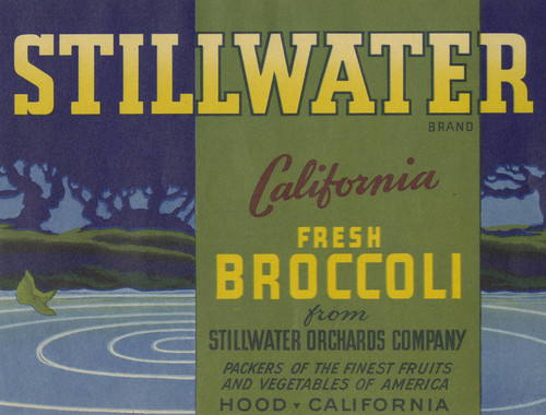 Stillwater Brand Broccoli