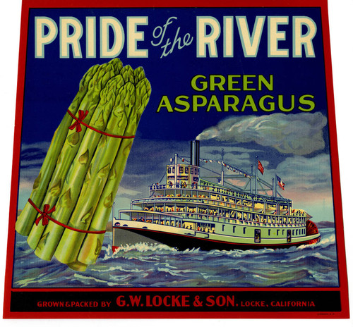 Pride of the River Green Asparagus